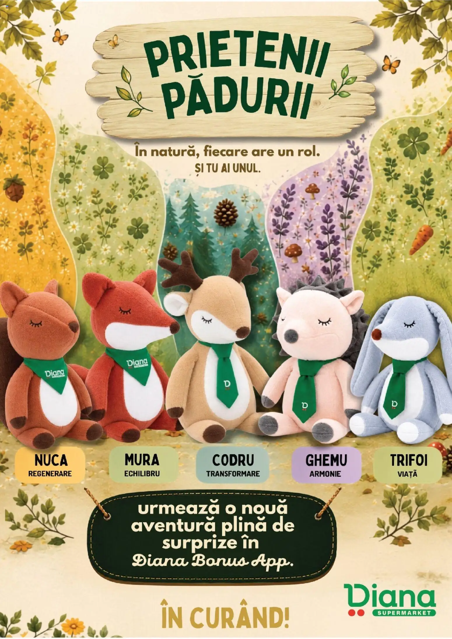 Noul catalog Diana – valabil de la 01.09.2026 | Pagină: 8