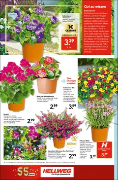 HELLWEG Flugblatt ab 18.06.2026 gültig | Seite: 18 | Produkte: Vase