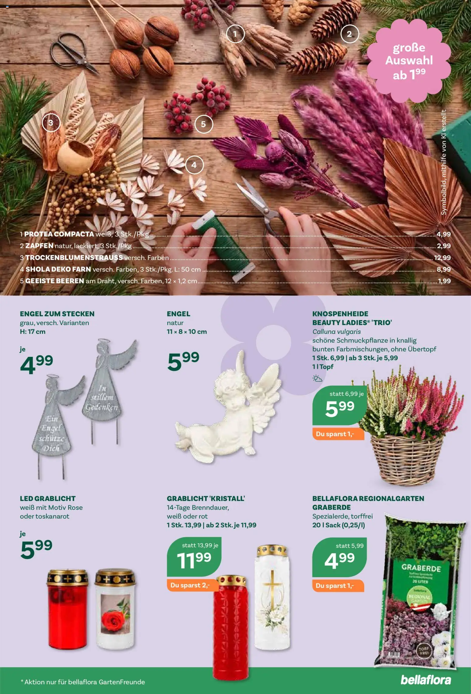 bellaflora Flugblatt gültig ab 08.10.2026 | Seite: 7