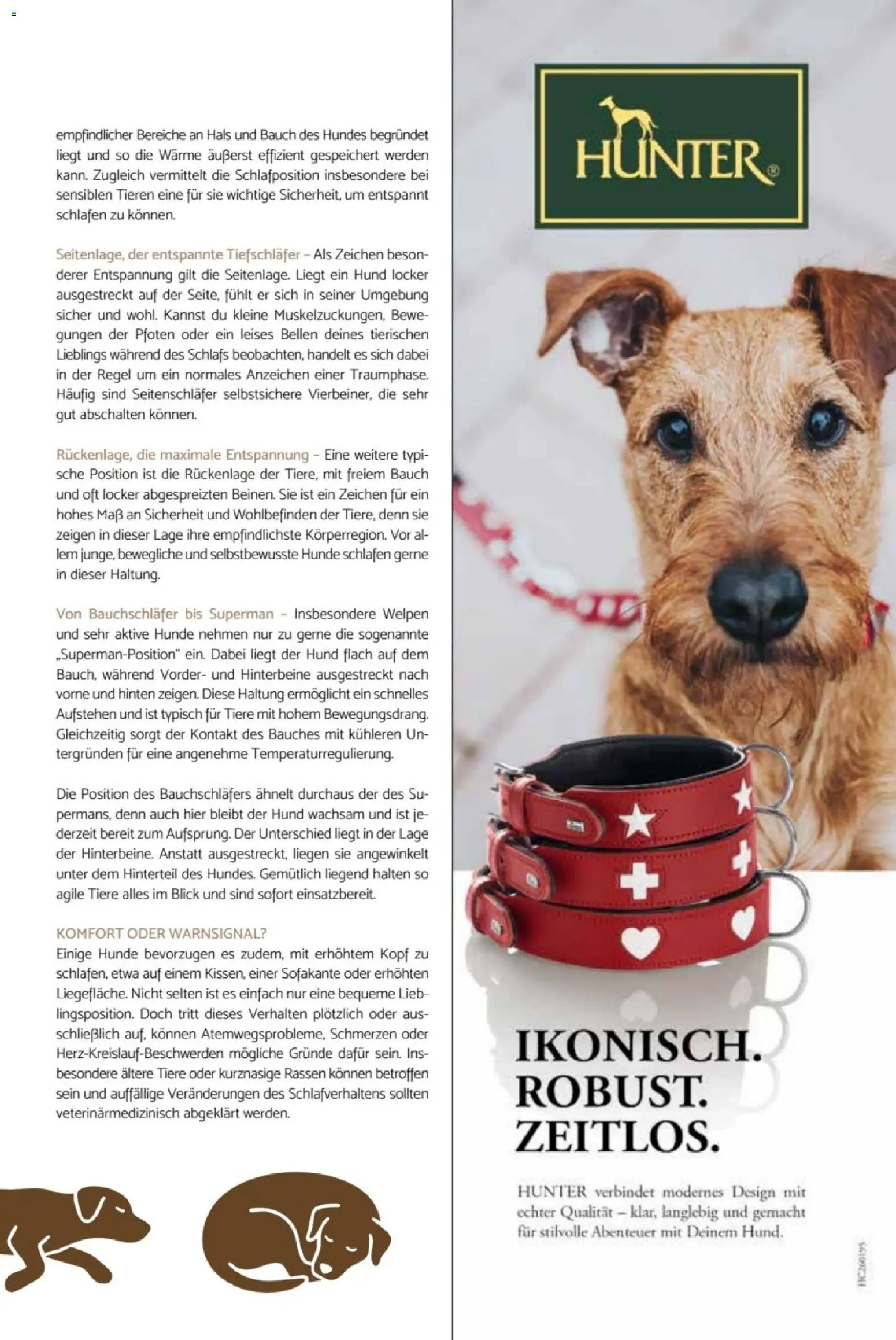 zookauf Heimtier Journal – gültig ab 01.07.2026 | Seite: 11
