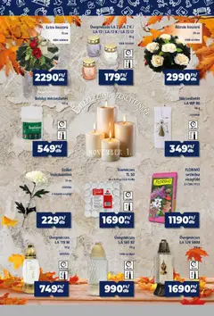 Goods Market Hűségkártyás ajánlataink - amely érvényes a következő dátumtól: 2026.10.08. | Oldal: 10