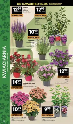 Pogląd oferty "Delikatesy Centrum gazetka" - ważna od 25.06.2026 | Strona: 38