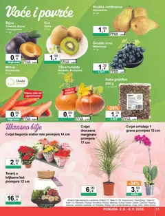 KTC Katalog - Pregled kataloga iz trgovine KTC, vrijedi od 02.09.2026 | Stranica: 11 | Proizvodi: Orhideja, Kivi, Šljiva, Grožđice