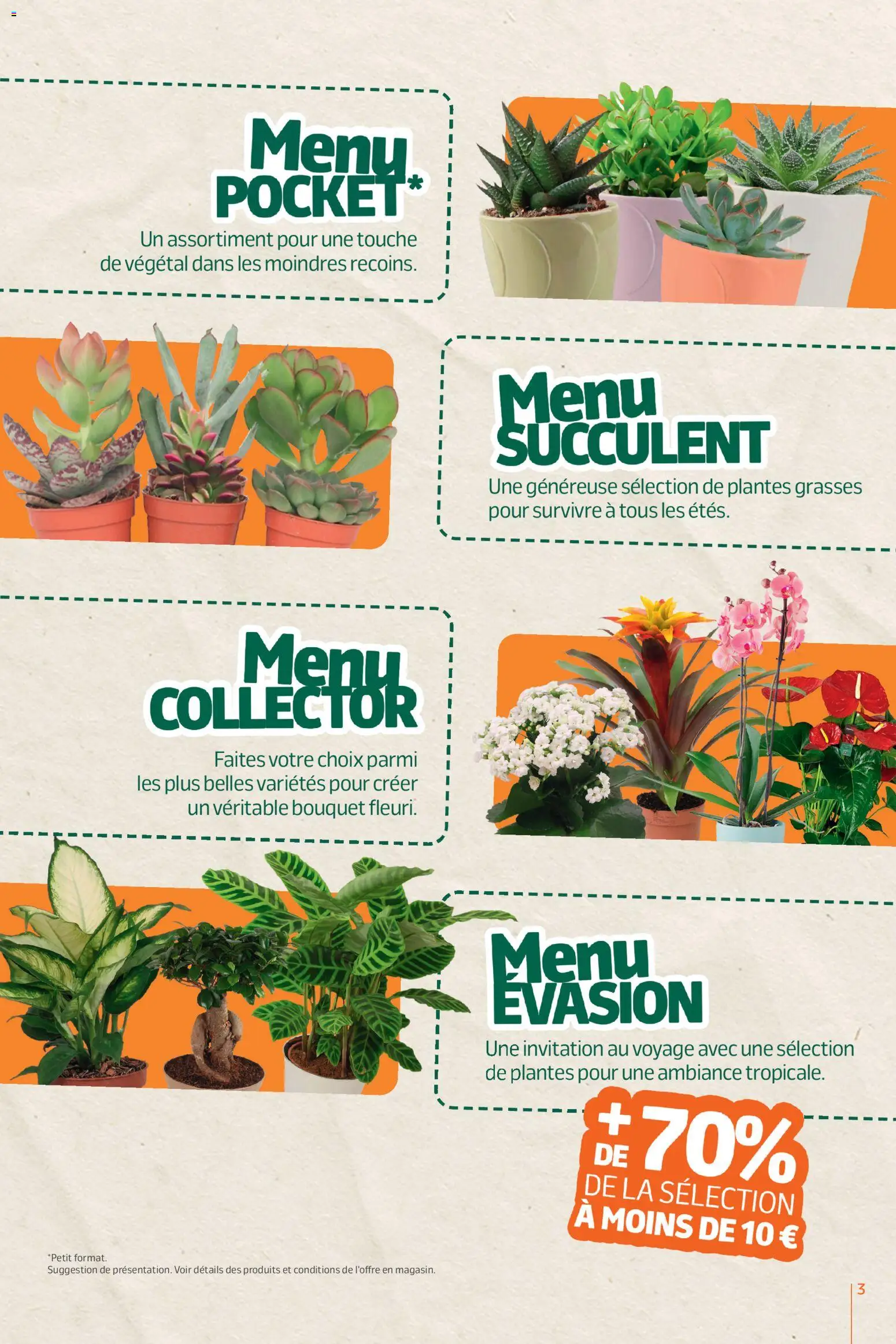 {H1} | Page: 3 | Produits: Plantes