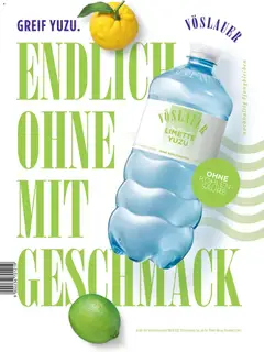 VÖSLAUER LIMETTE YUZU, VÖSLAUER LIMETTE YUZU OHNE KOHLENSÄURE ab 01.07.2026 gültig | Seite: 170 | Produkte: Limette