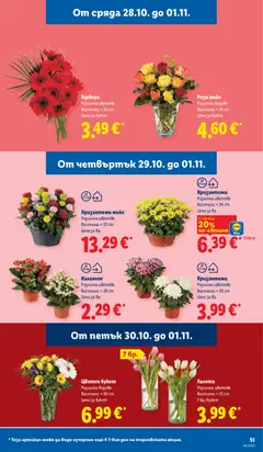 Преглед на Лидл Cедмична брошура - Офертите са валидни от 26.10.2026 | Страница: 51