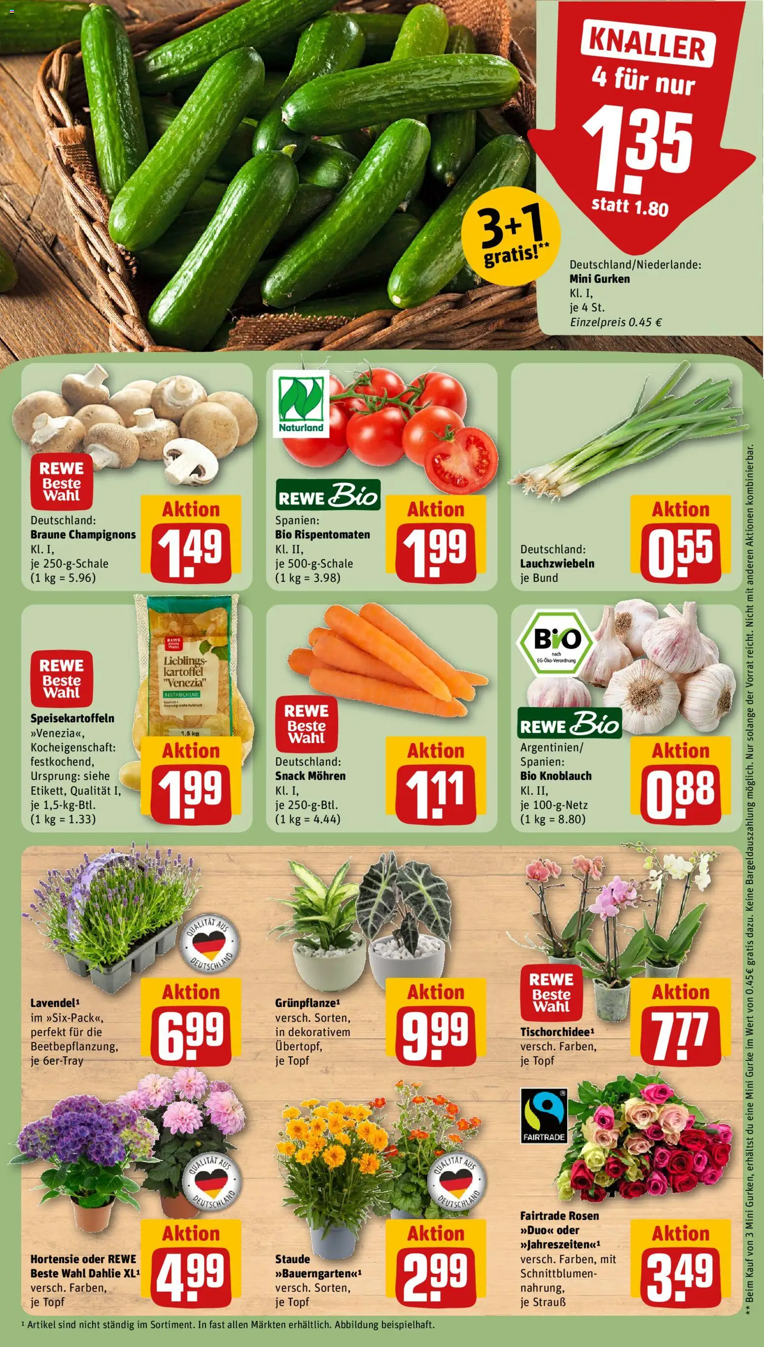 Rewe Prospekt – gültig ab 29.06.2026 | Seite: 9