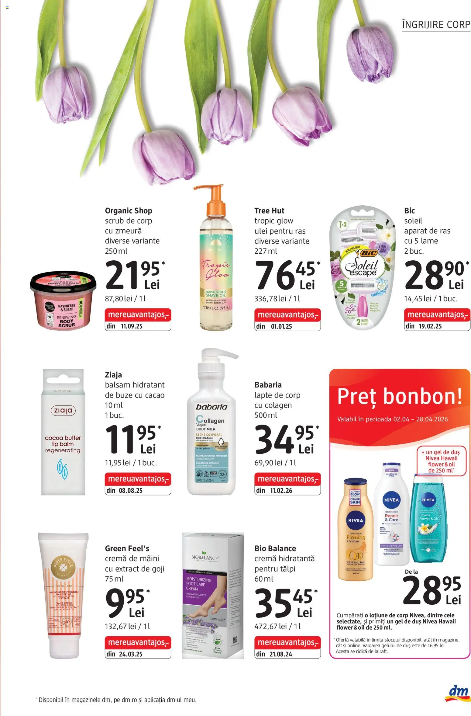 Noul catalog DM drogeriemarkt – valabil de la 02.04.2026 | Pagină: 11 | Produse: Aparat De Ras, Body, Role, Ulei