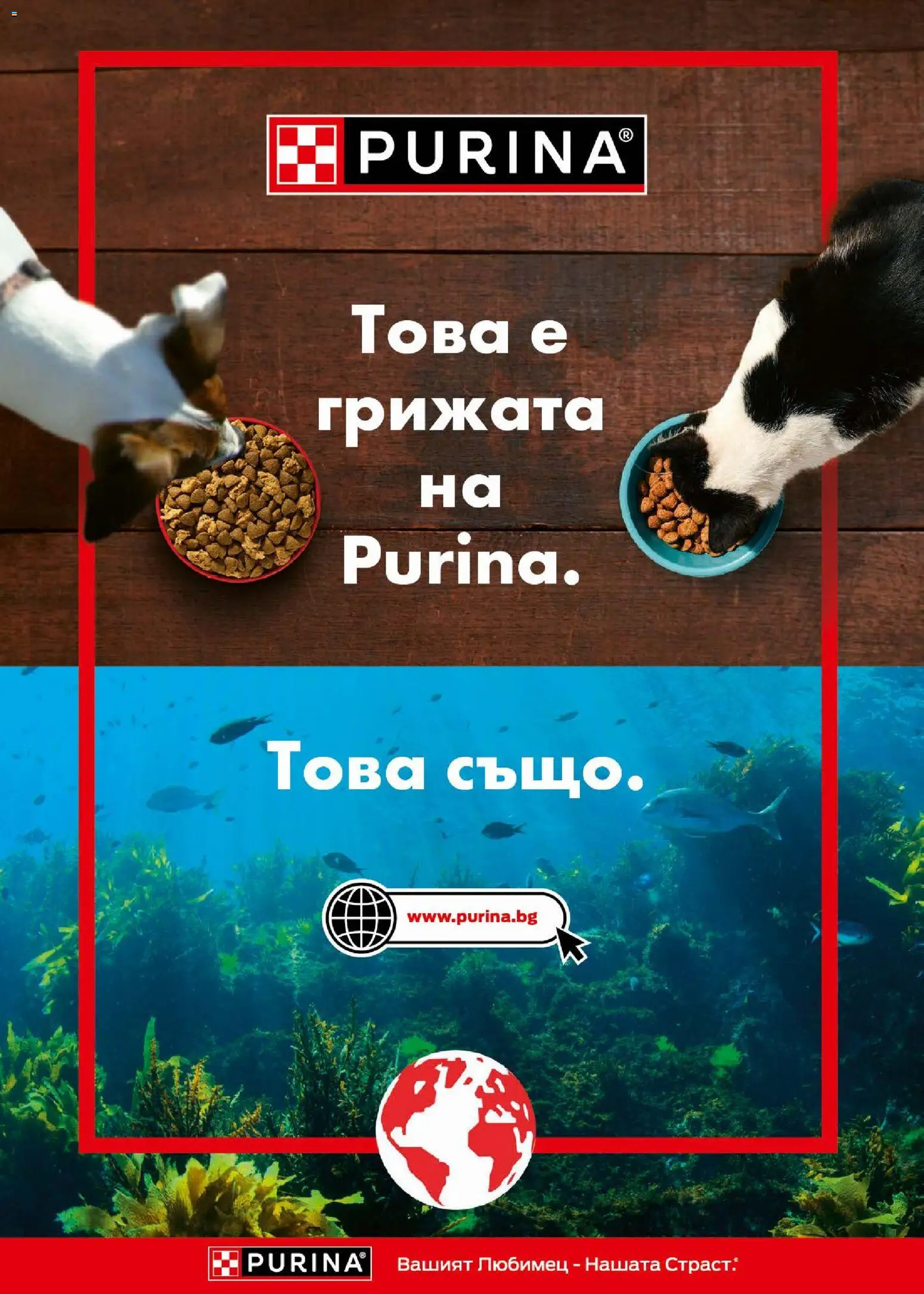 {H1} | Страница: 48