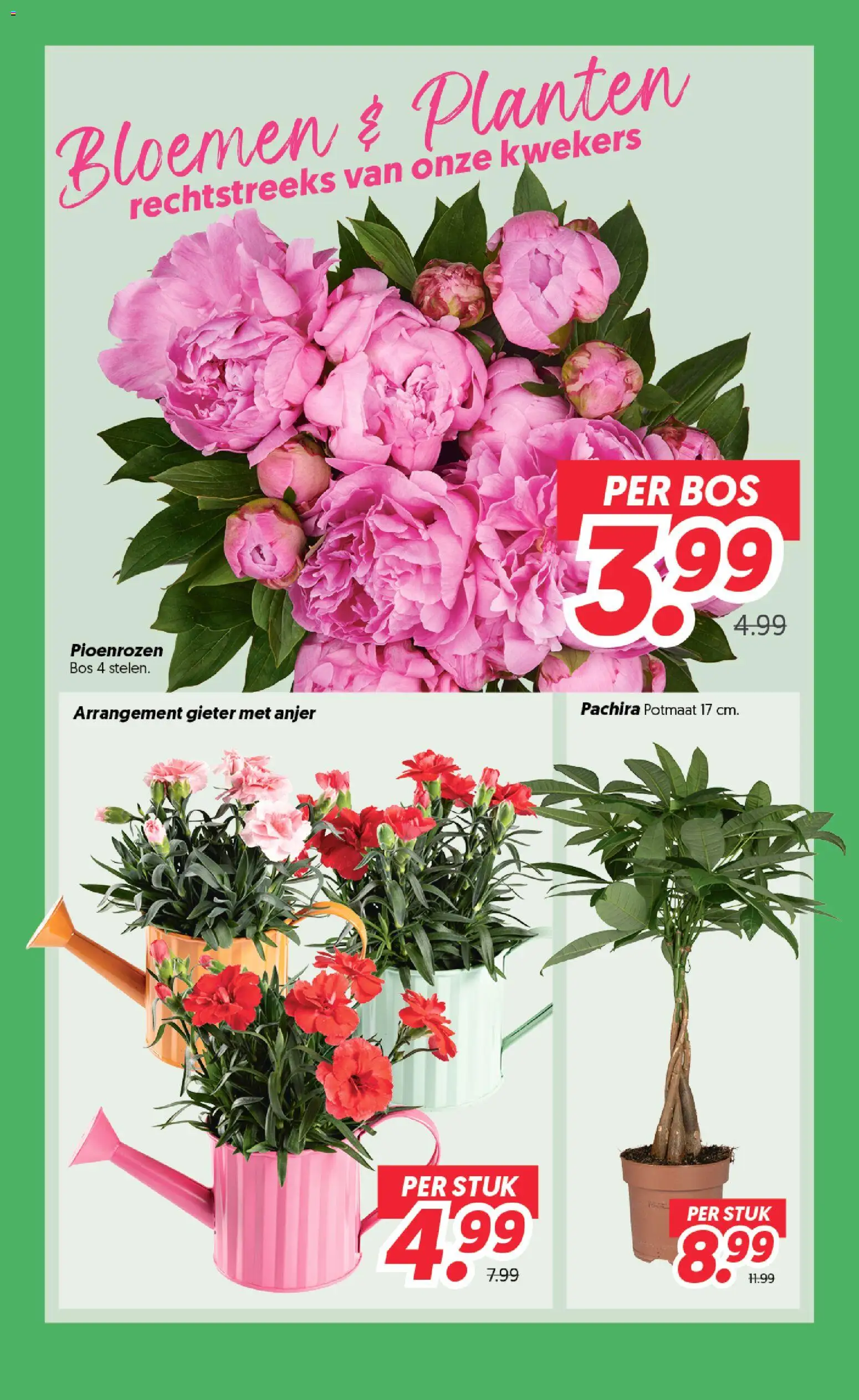 {H1} | Pagina: 20 | Producten: Bloemen