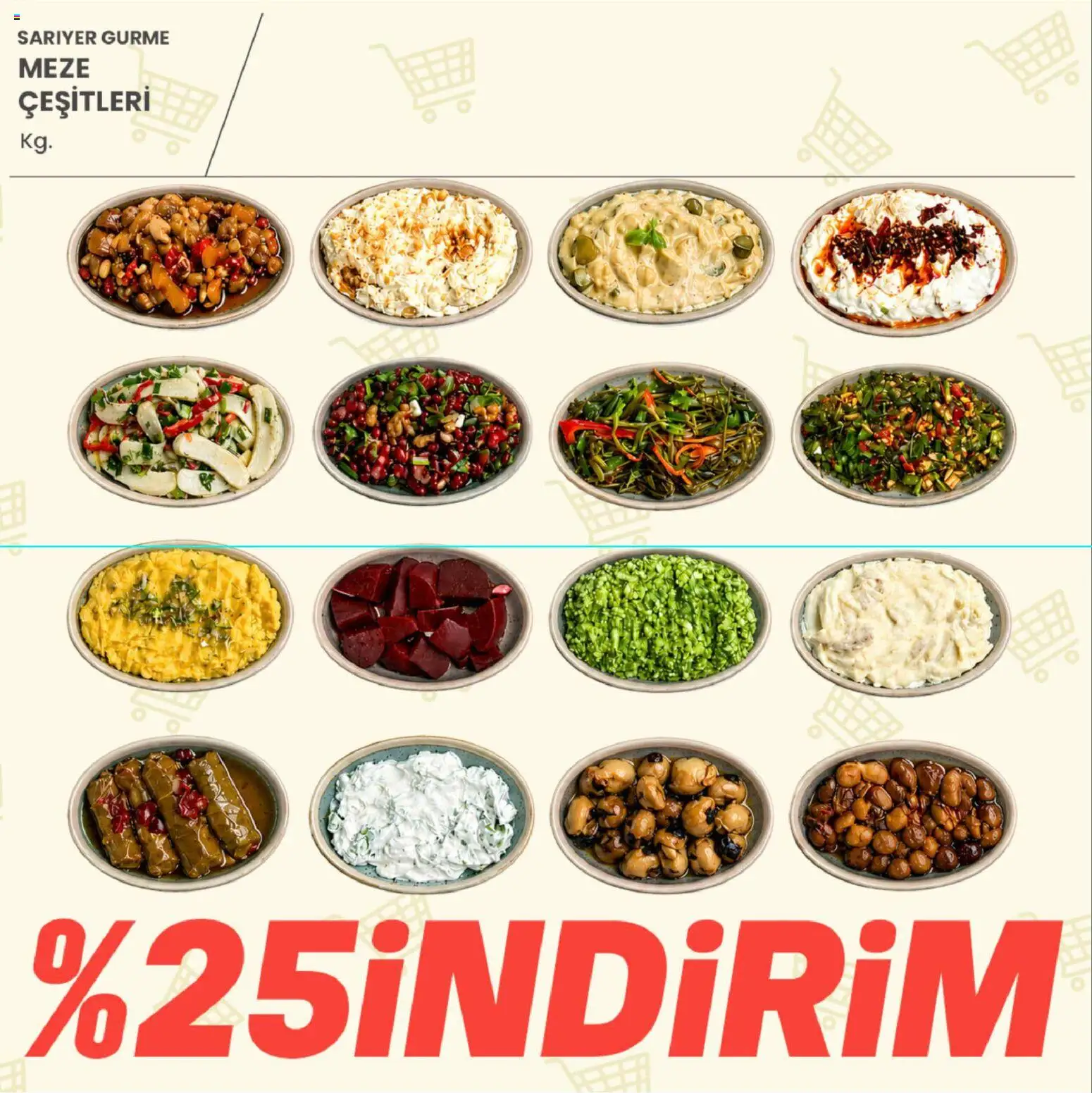Sarıyer Katalog - 22.05.2026 tarihinden itibaren geçerlidir | Sayfa: 5