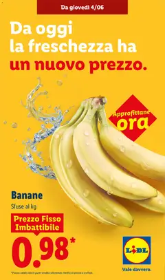 Anteprima del volantino Lidl volantino Freschezza imbattibile valido a partire dal 04.06.2026