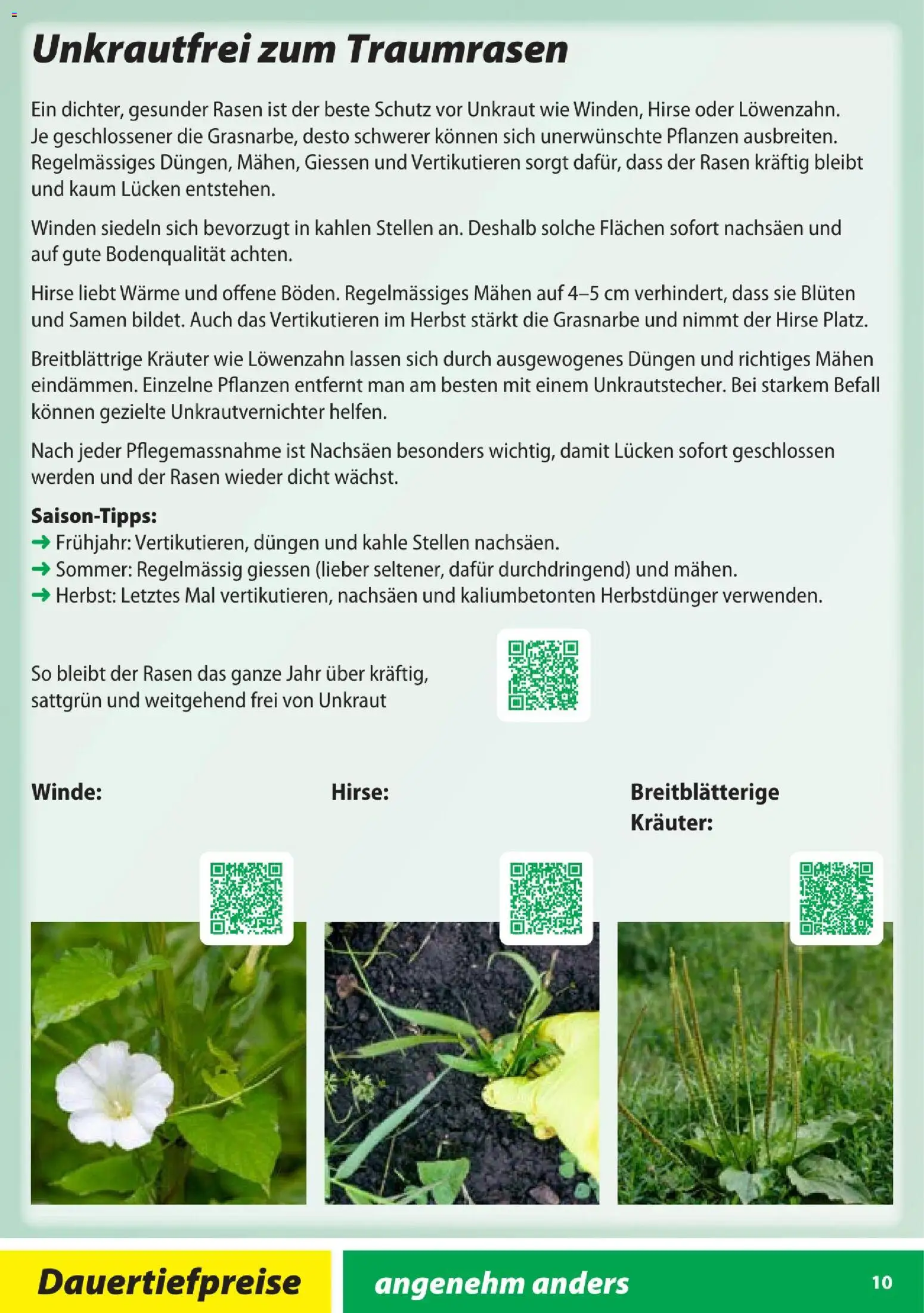 Landi Aktionen Capito – gültig ab 28.01.2026 | Seite: 10