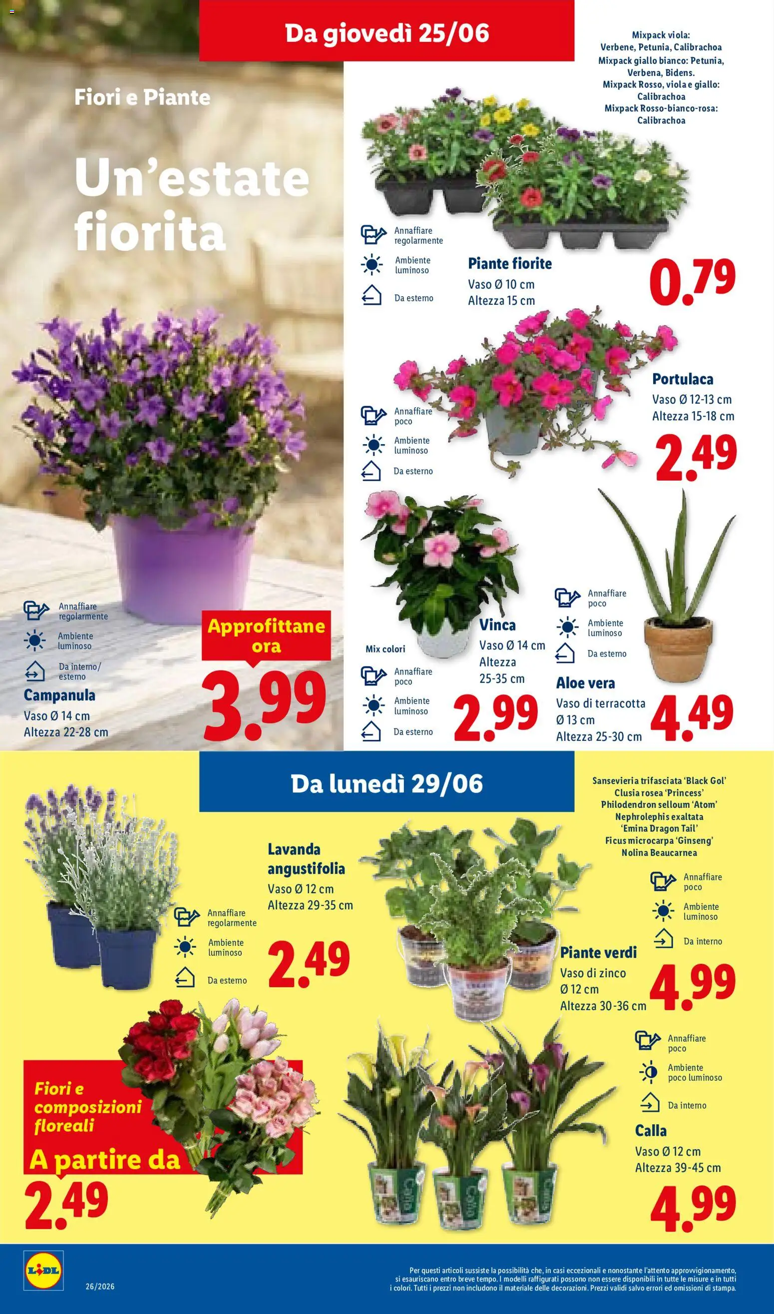 Volantino Lidl del 25.06.2026 | Pagina: 36