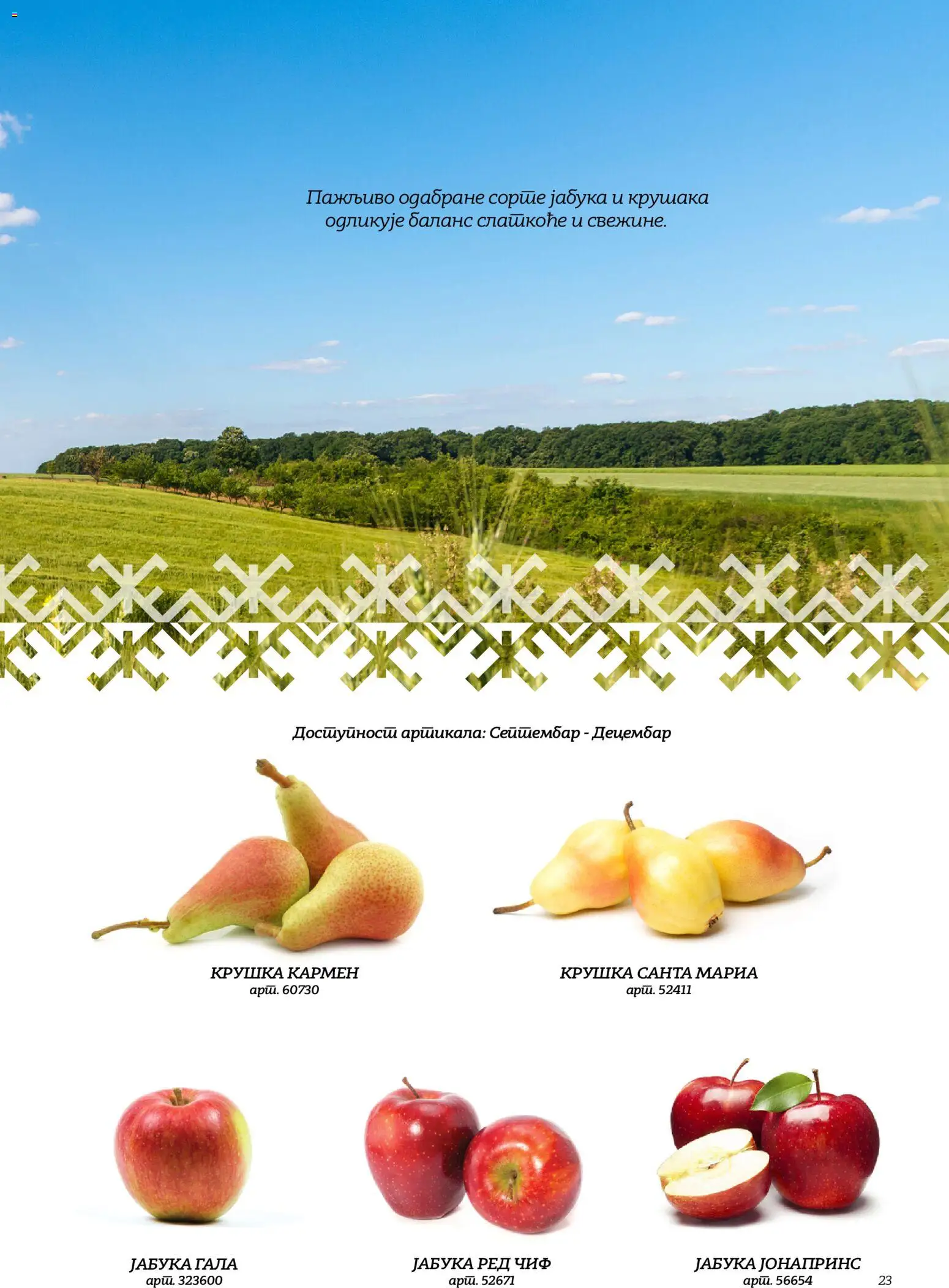 Metro katalog - važi od 02.10.2026 | Strana: 22