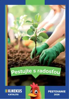 Kinekus leták platný od 10.06.2026