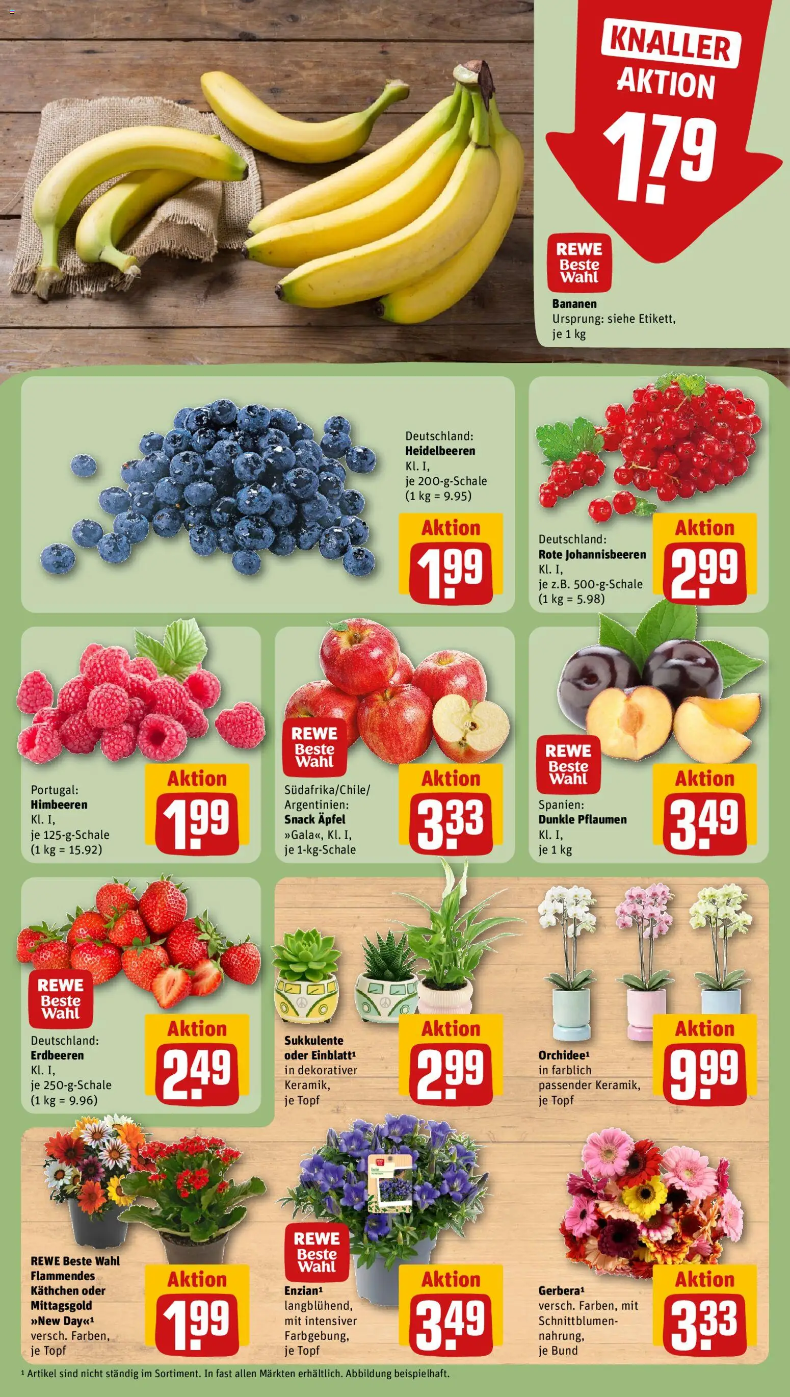 Rewe Prospekt – gültig ab 20.07.2026 | Seite: 9