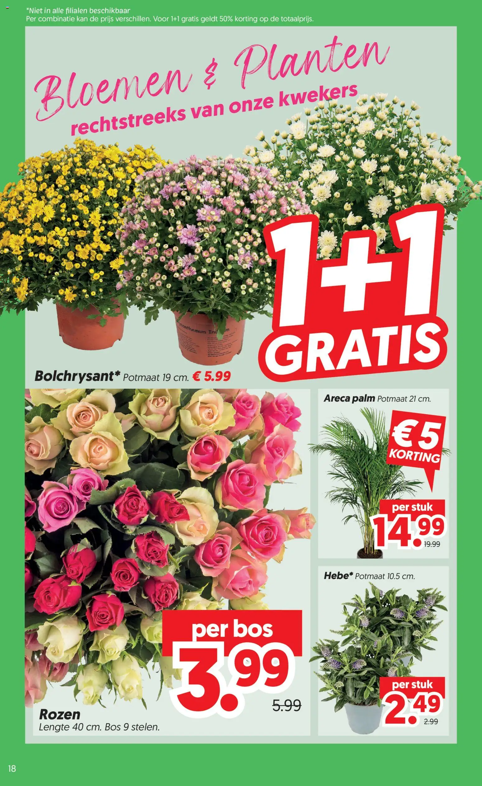 {H1} | Pagina: 20 | Producten: Kan, Bloemen
