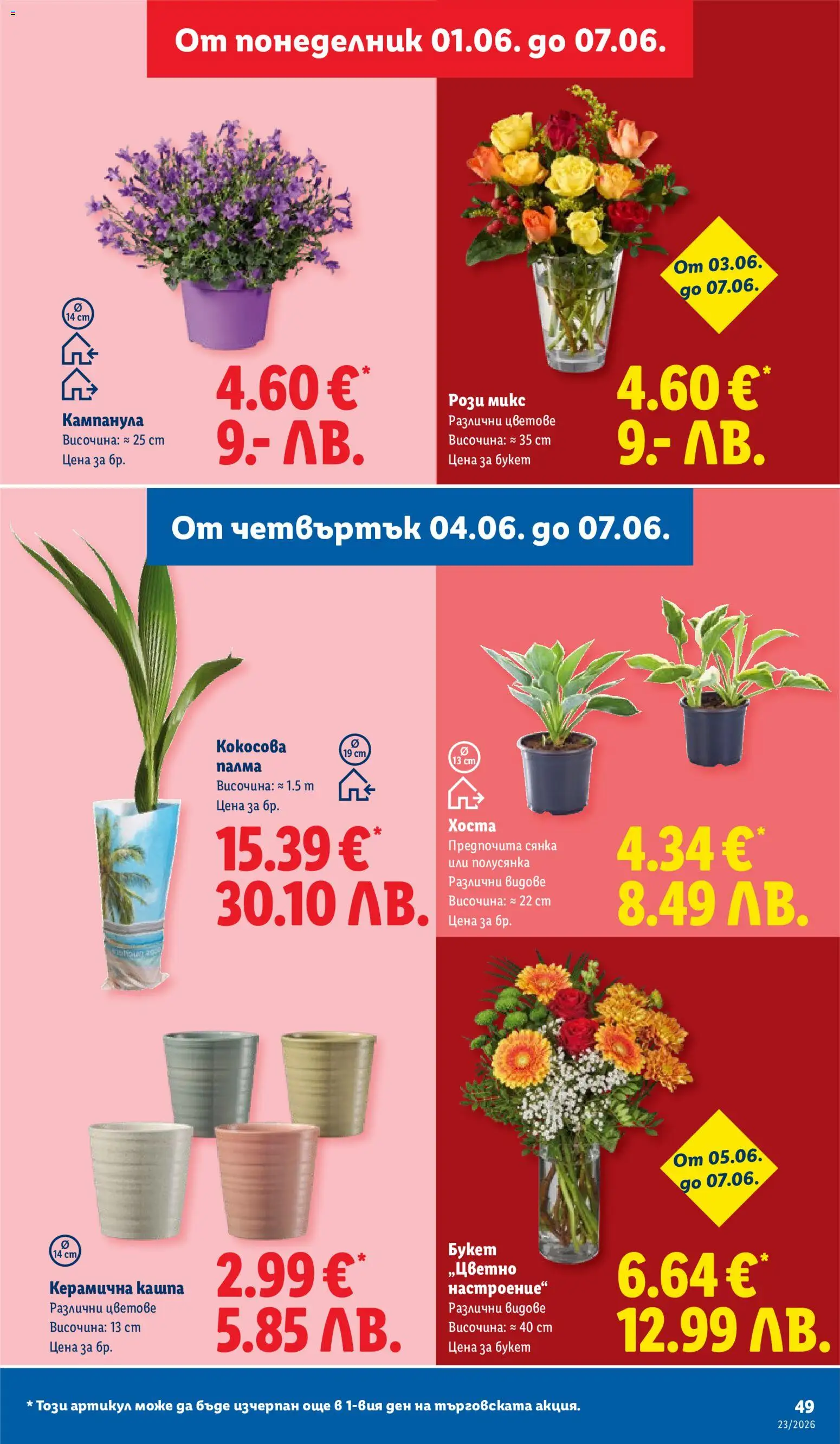 {H1} | Страница: 49 | Продукти: Кашпа, Кокосова палма, Палма
