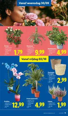 Orchidee, potmaat: 12 cm, hoogte: 65 cm, per stuk - Voorbeeld van een folder van Lidl, geldig van 28/09/2026 | Pagina: 15 | Producten: Plantenpot, Orchidee, Pot