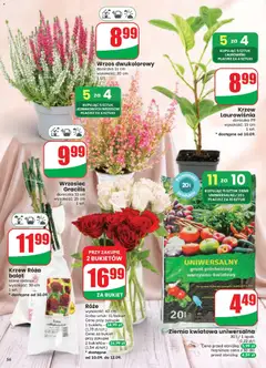 Pogląd oferty "Dino gazetka" - ważna od 09.09.2026 | Strona: 56 | Produkty: Wrzos, Ziemia, Doniczka