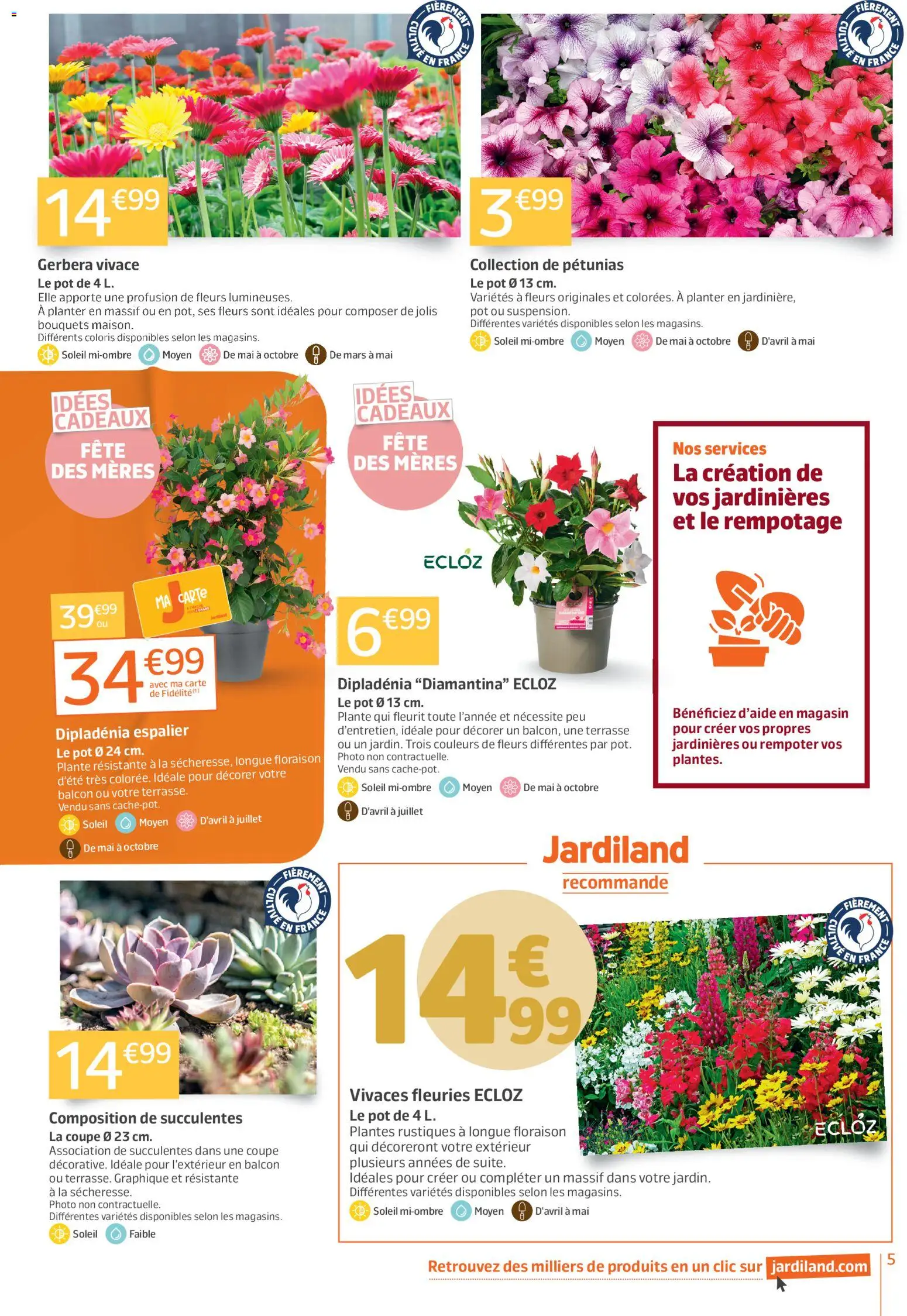{H1} | Page: 5 | Produits: Plantes, Dipladénia