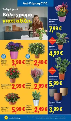 Κεραμική γλάστρα, Κεραμική γλάστρα Κάθε τεμ. Ø 13,4cm - Προεπισκόπηση φυλλαδίου από το κατάστημα Lidl,  σε ισχύ από 01/10/2026 | Σελίδα: 50 | Προϊόντα: Γλάστρα