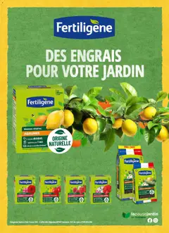 Mr. Bricolage - Prévisualisation de Mr. Bricolage Dans votre magasin valide à partir de 03/07/2026 | Page: 11 | Produits: Plantes, Tomates
