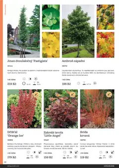 Náhled letáku Starkl katalog od 25.02.2026 | Strana: 38
