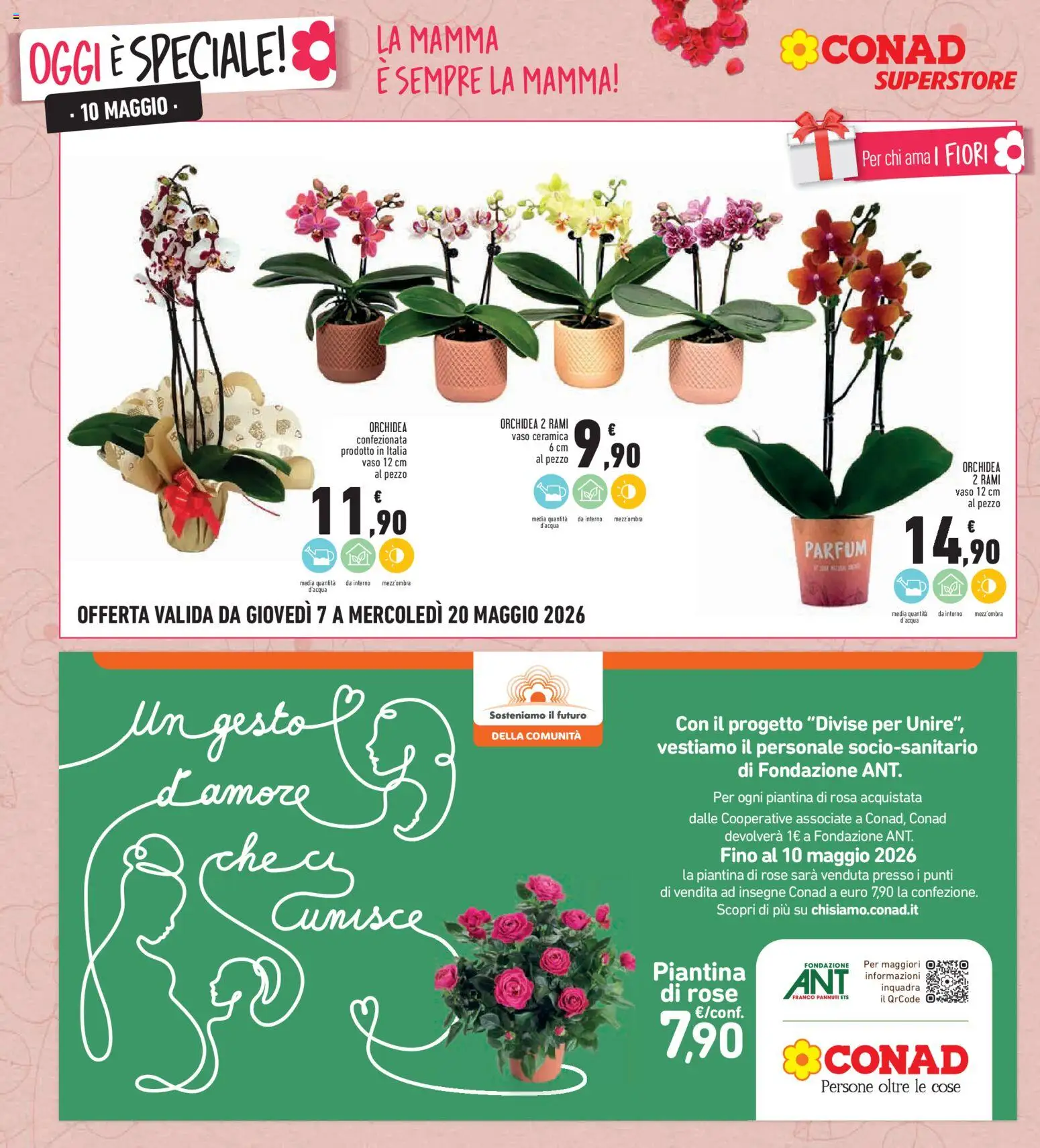 Volantino Conad del 07.05.2026 | Pagina: 10 | Prodotti: Orchidea, Vaso