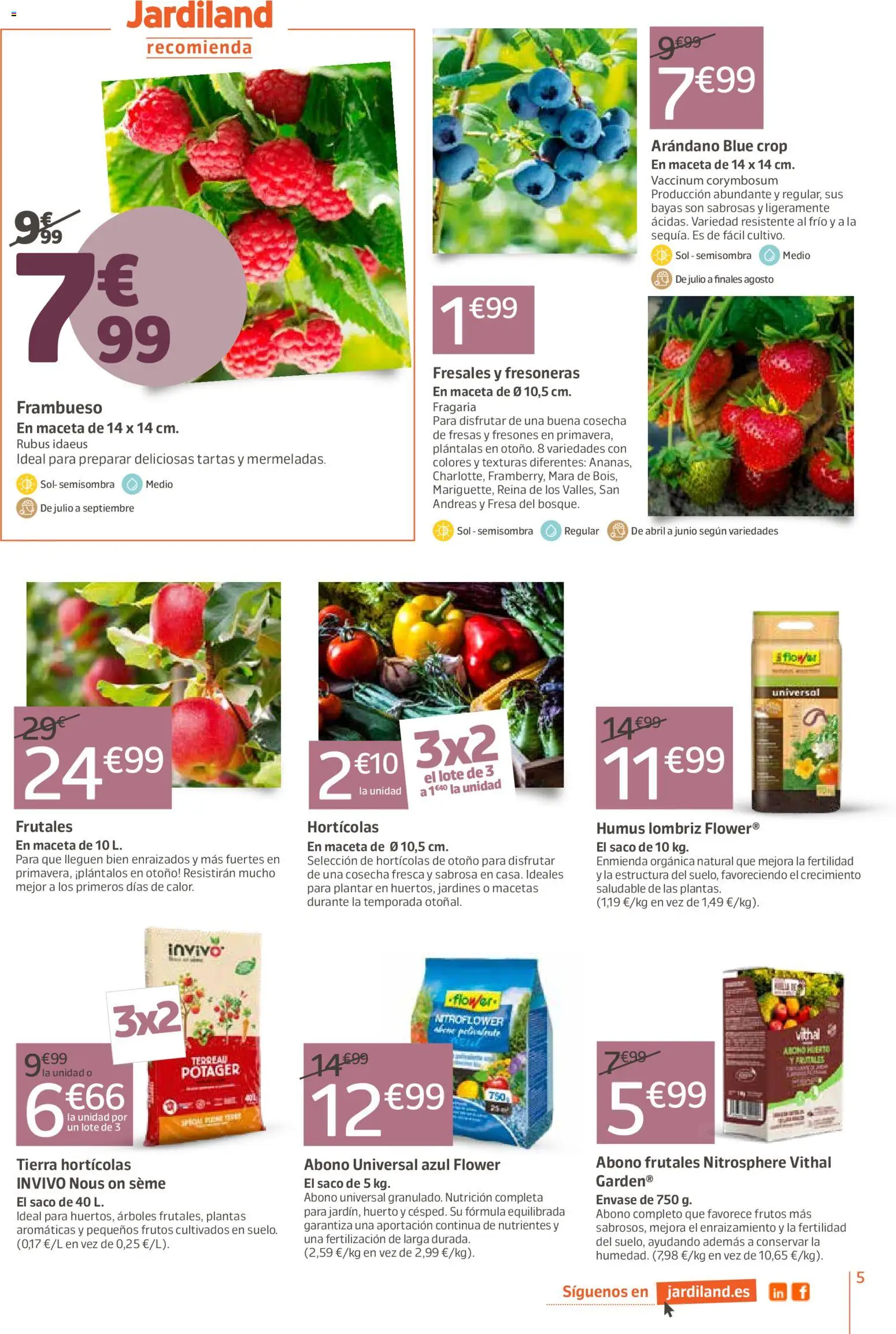 Jardiland folleto │ válido desde el 01/10/2026 | Página: 5 | Productos: Tartas, Fresas, Tierra, Maceta