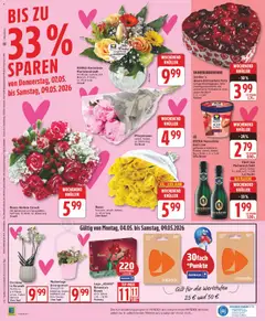 Orchidee in Keramik, Multiflora, 2-4 Trieber, versch. Farben blühend 13cm Topf ab 04.05.2026 gültig | Seite: 16