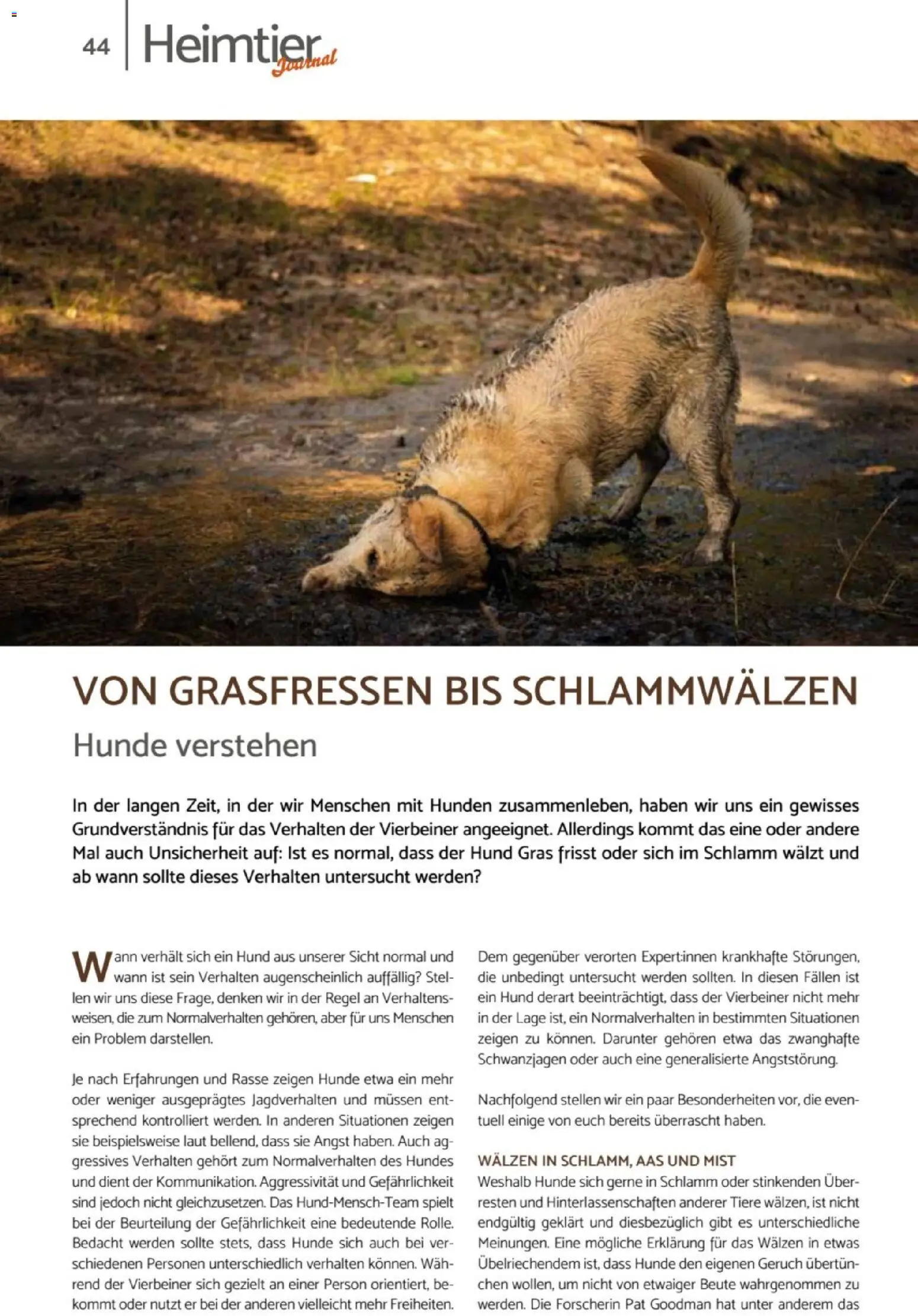 zookauf Heimtier Journal – gültig ab 01.07.2026 | Seite: 44