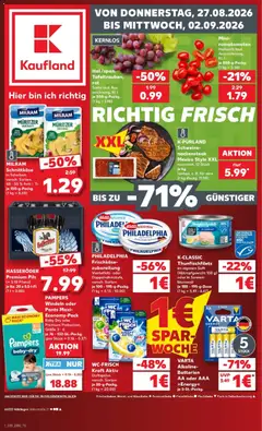Náhled letáku Kaufland Německo leták - Völklingen od 27.08.2026