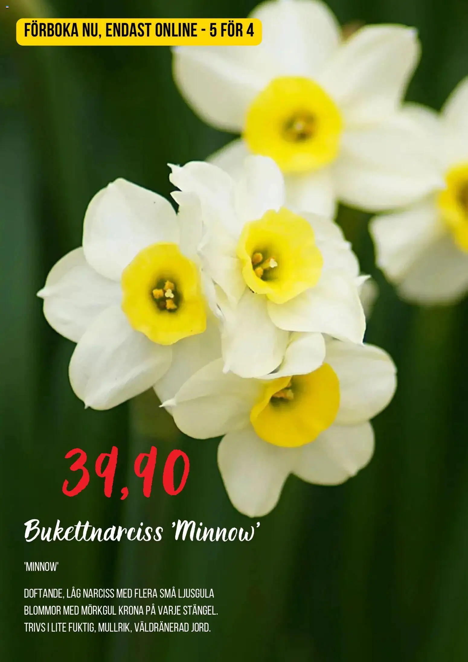 Blomsterlandet reklamblad aktuell från 13/08/2026 | Sida: 6 | Produkter: Blommor
