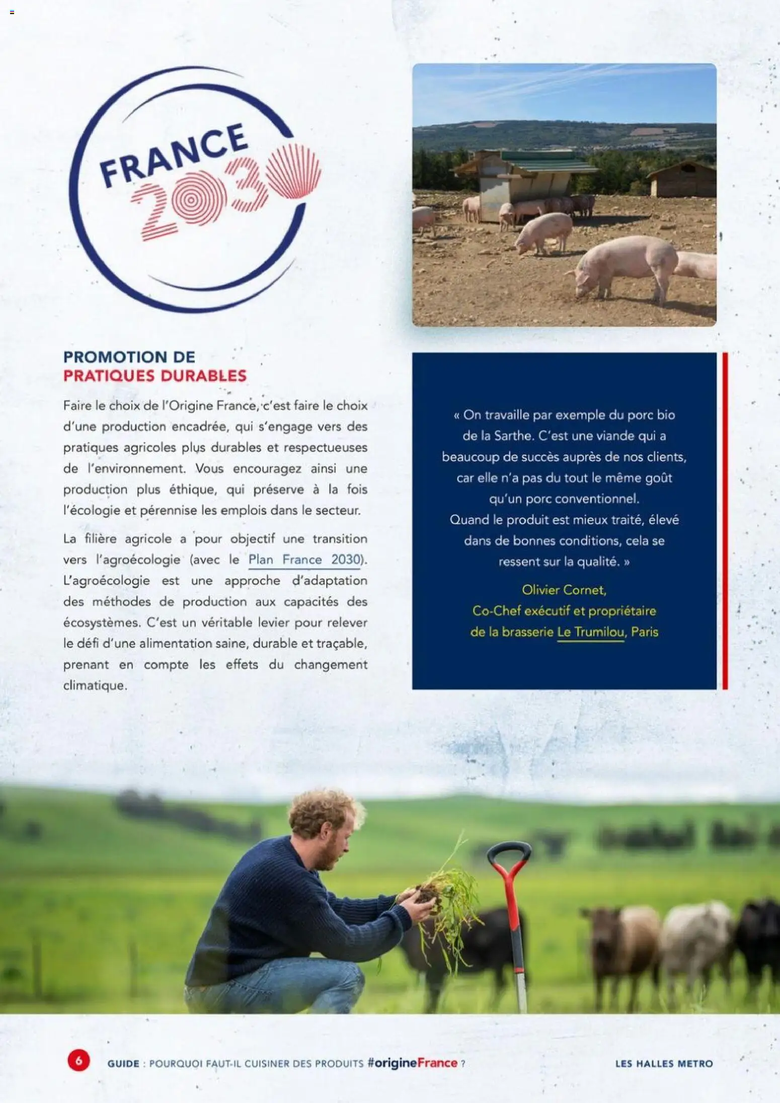 {H1} | Page: 6 | Produits: Alimentation, Olivier, Viande, Porc