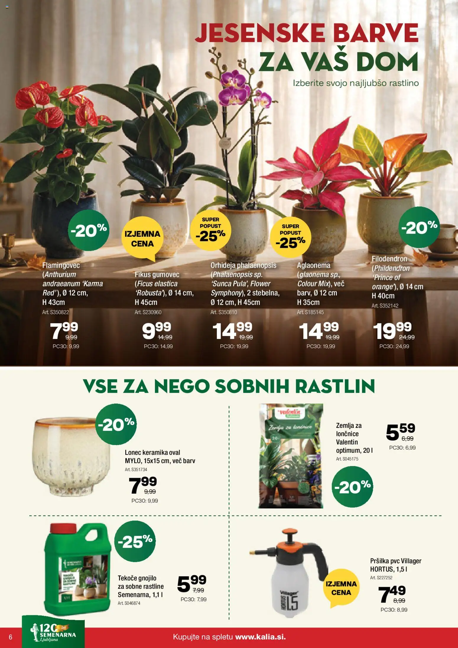Novi Kalia katalog ponudbe – veljaven od 31.08.2026 | Stran: 6 | Izdelki: Žemlja, Lončnice