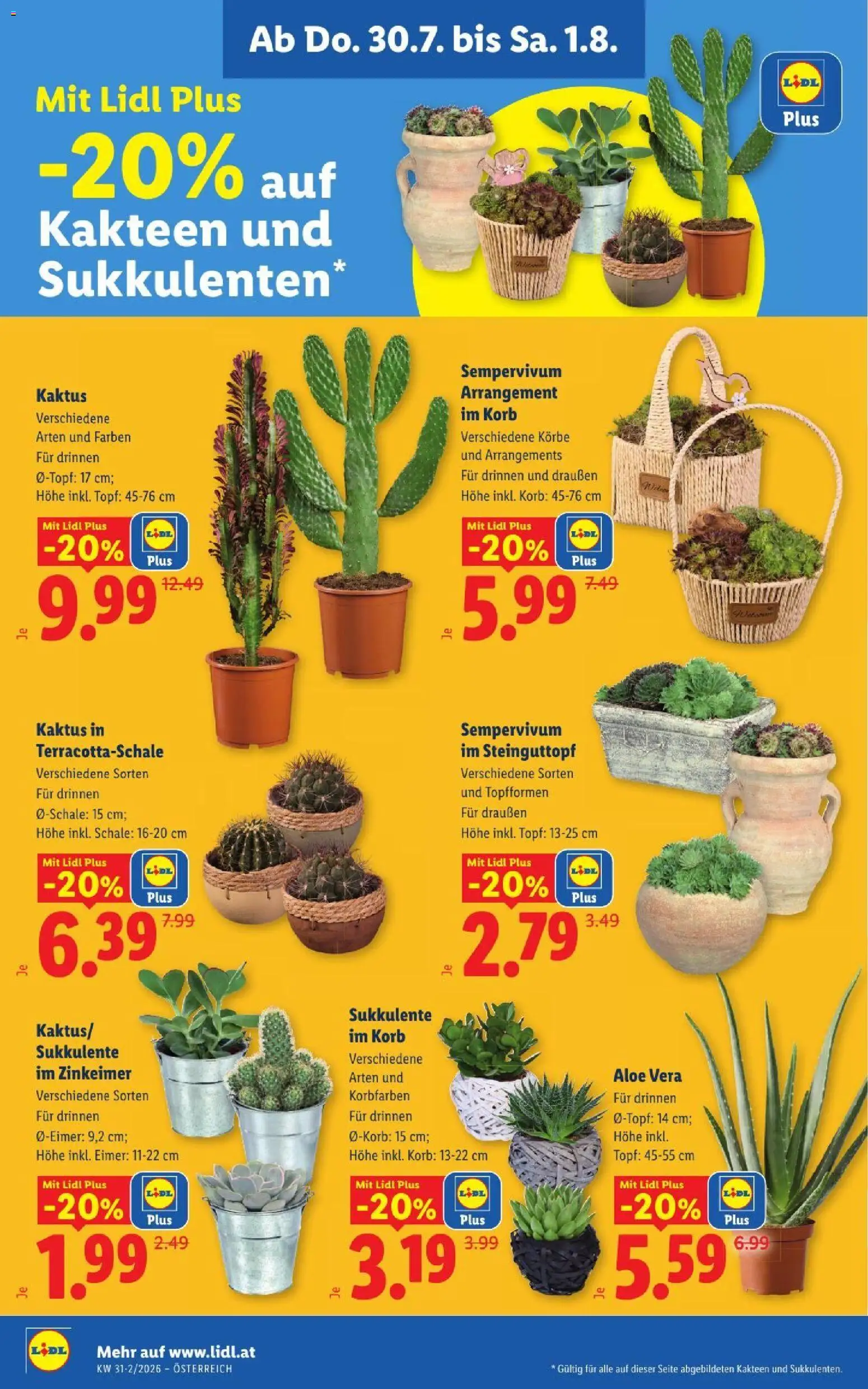 Lidl - Flugblatt gültig ab 30.07.2026 | Seite: 26 | Produkte: Korb