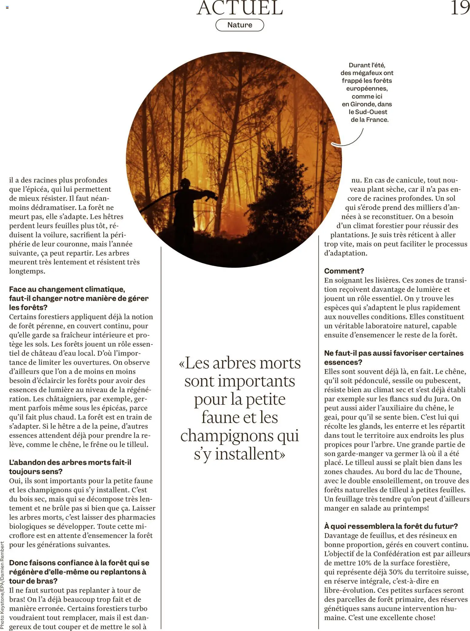 Migros aktionen Magazine FR – gültig ab 16.09.2026 | Seite: 19 | Produkte: Mais, Champignons