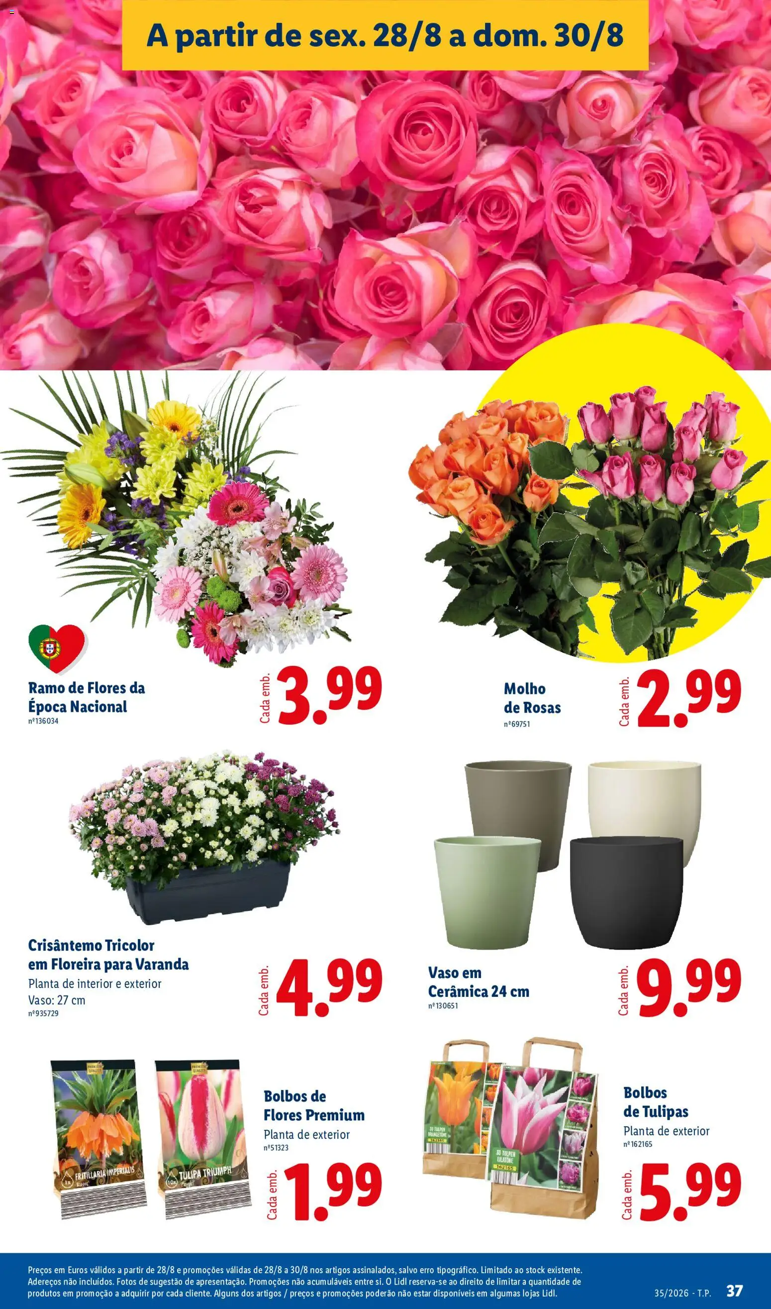 Lidl folheto │ válido de 24/08/2026 | Página: 37 | Produtos: Flores, Tulipas, Vaso