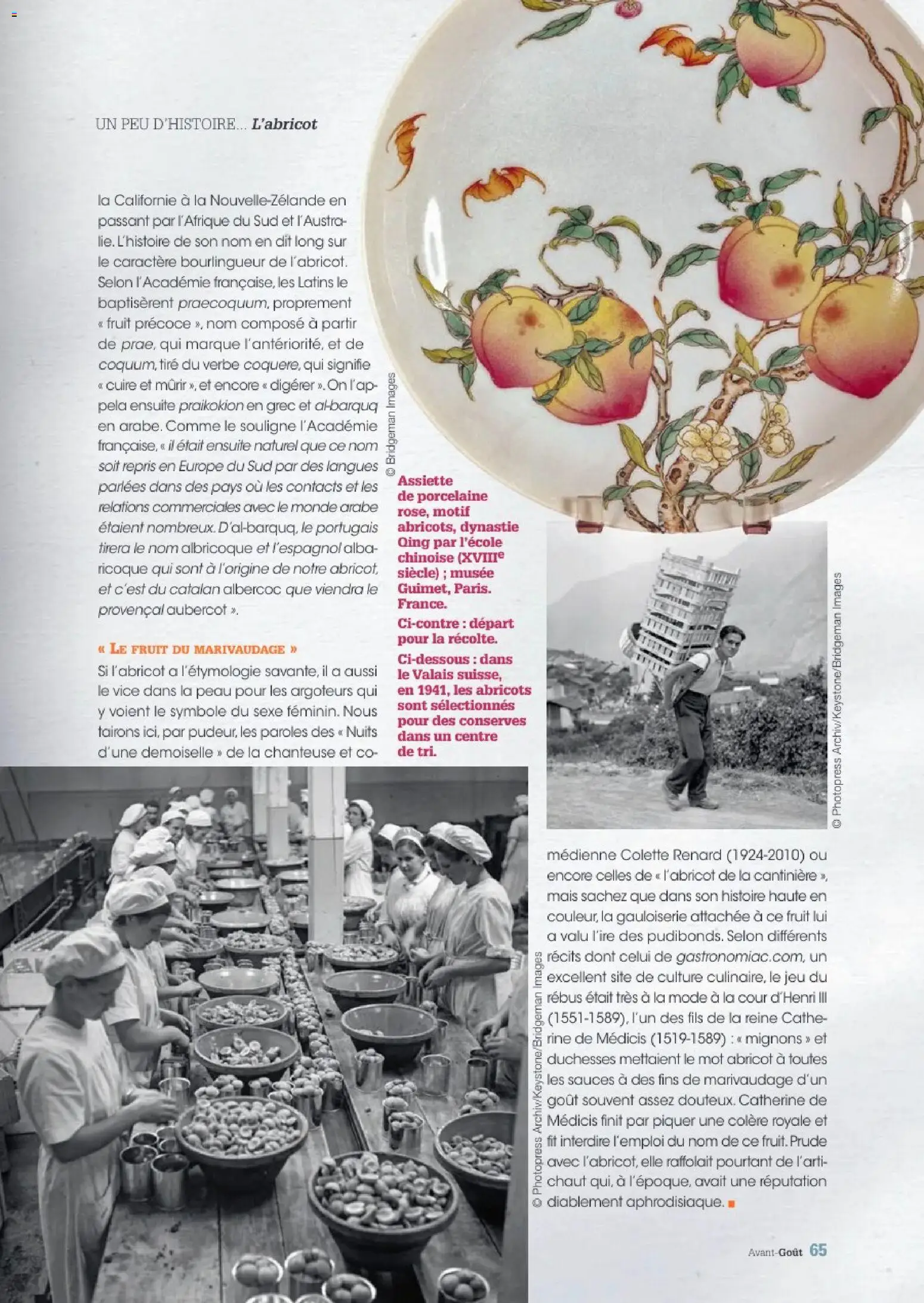 {H1} | Page: 65 | Produits: Abricot, Mais, Porcelaine, Assiette