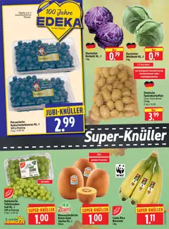 HERKULES Prospekt ab 21.09.2026 gültig | Seite: 4 | Produkte: Rotkohl, Bananen