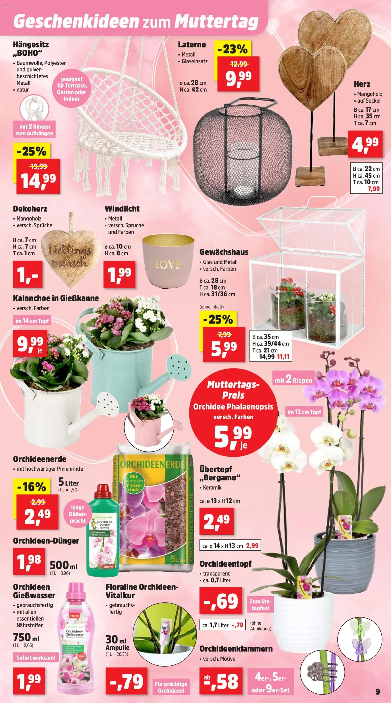 Thomas Philipps Prospekt – gültig ab 04.05.2026 | Seite: 13 | Produkte: Orchidee