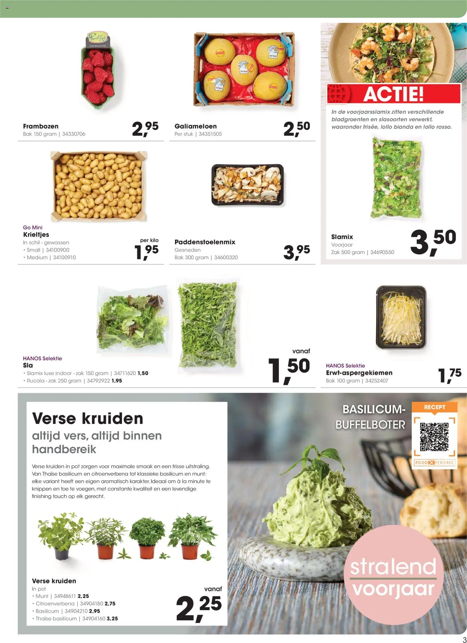 {H1} | Pagina: 3 | Producten: Munt, Krieltjes, La, Frambozen