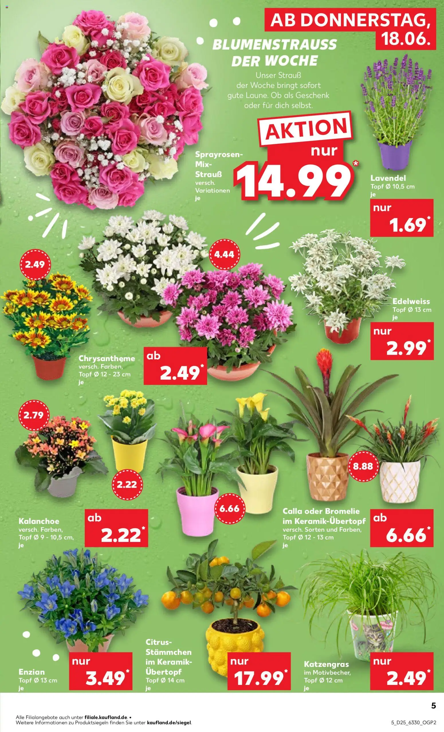 Kaufland Prospekt Hamburg – gültig ab 18.06.2026 | Seite: 5 | Produkte: Lavendel