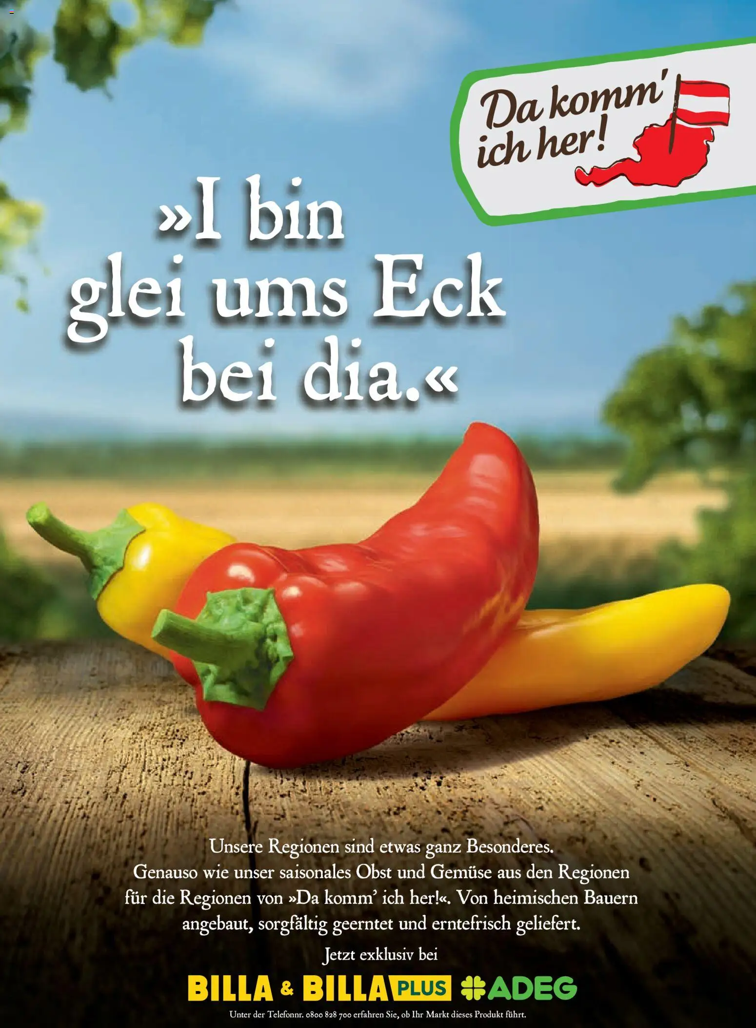 Billa AT akciós ujság - amely érvényes a következő dátumtól: 2026.09.01. | Oldal: 84