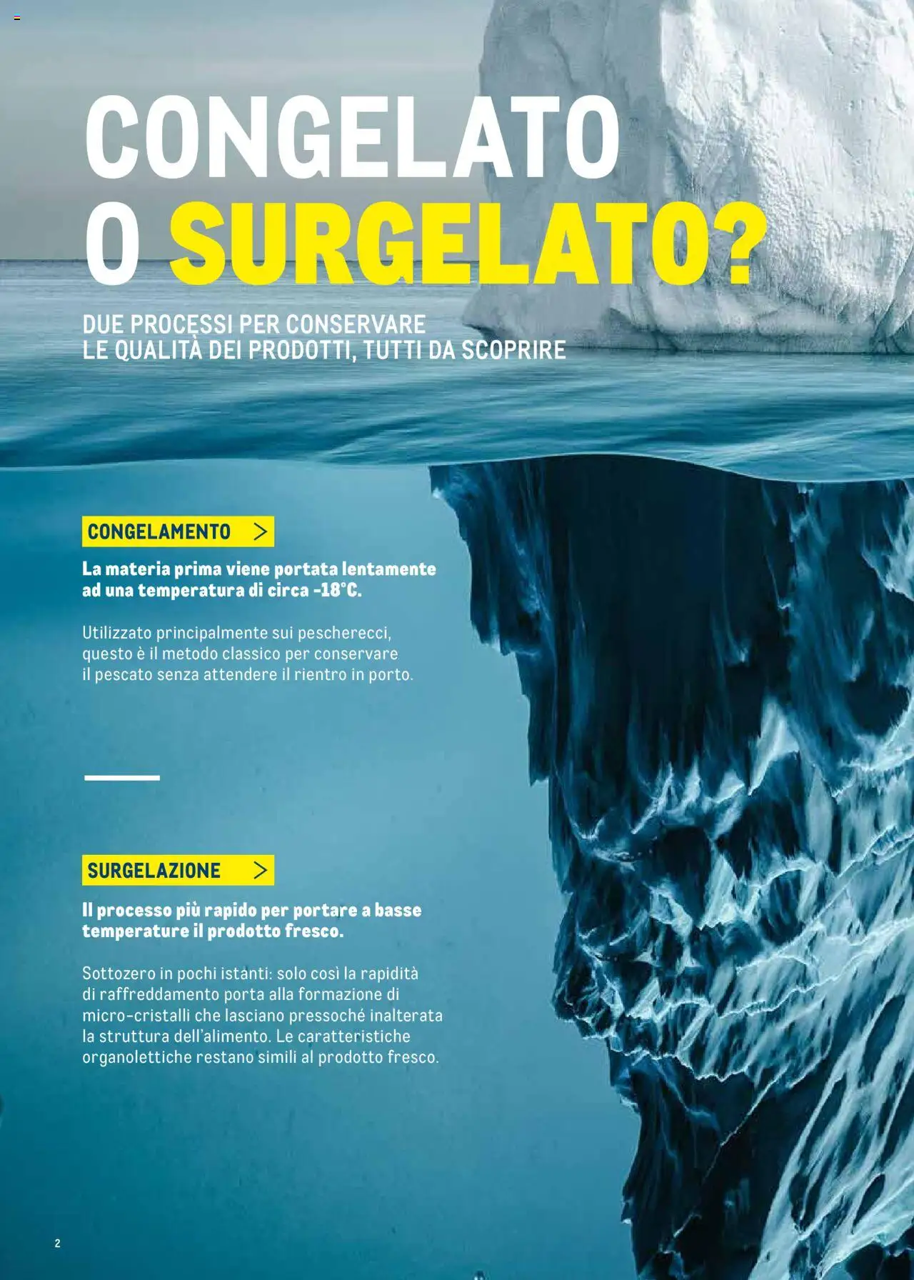 Volantino Metro del 30.06.2025 | Pagina: 2