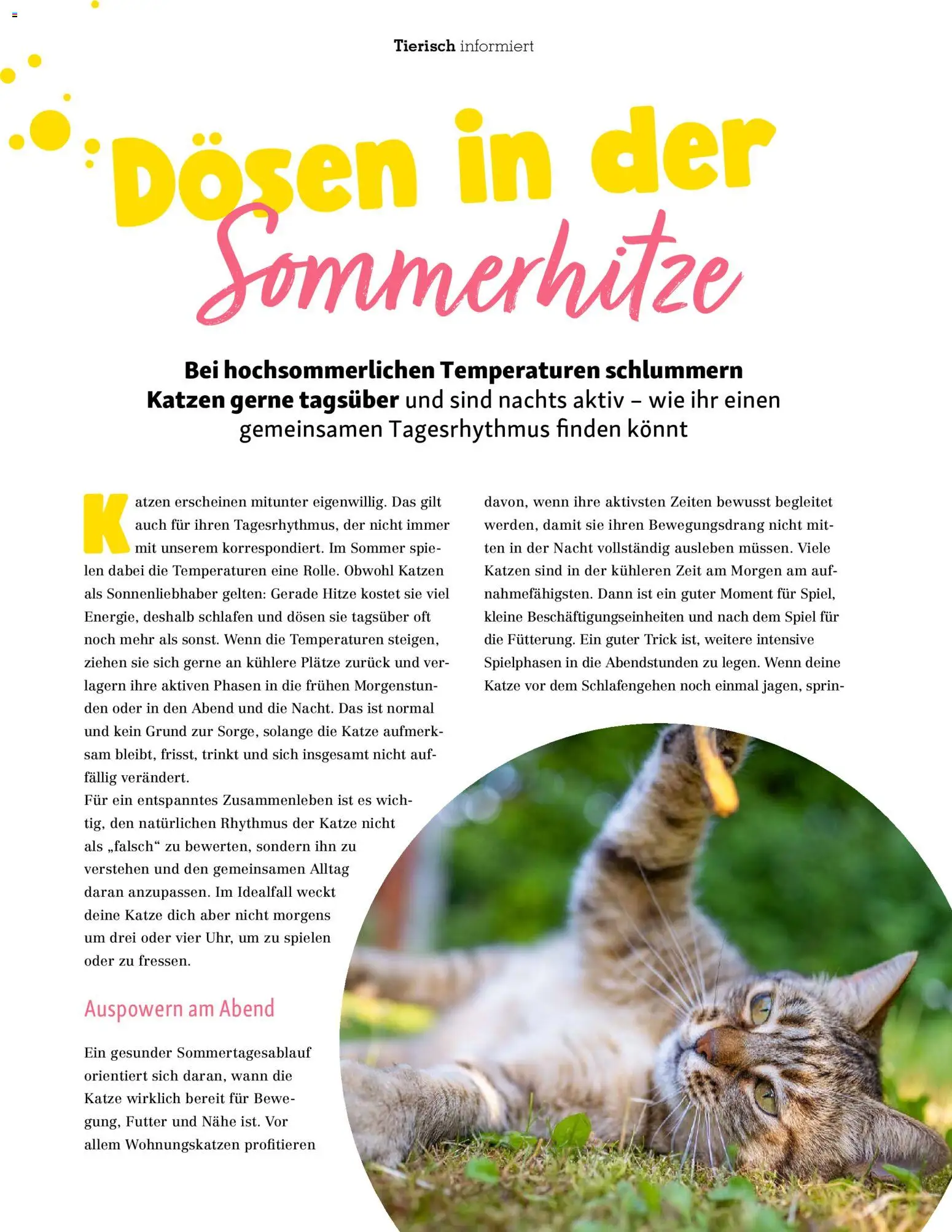 Fressnapf Friends Magazin (ab 01.07.2026) zum Blättern — page 27