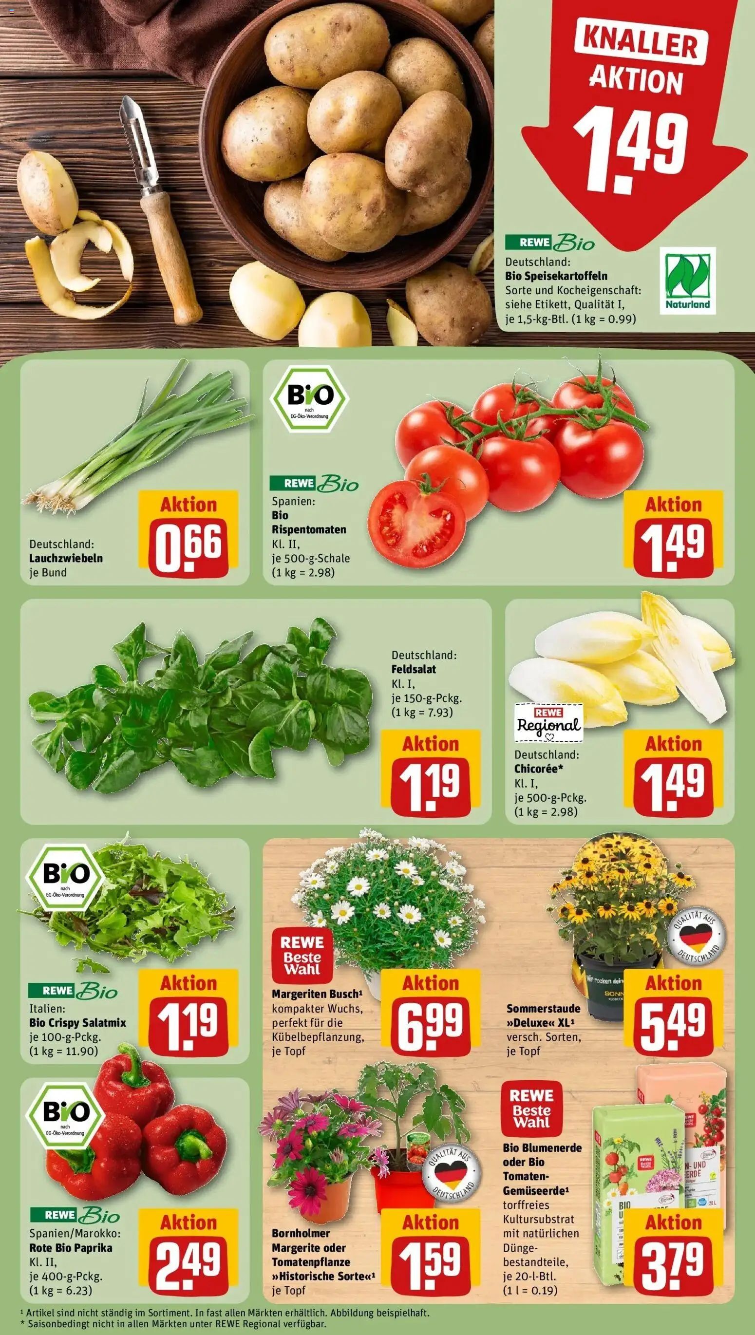 Rewe Prospekt Rostock	 – gültig ab 27.04.2026 | Seite: 7 | Produkte: Tomaten, Blumenerde, Paprika