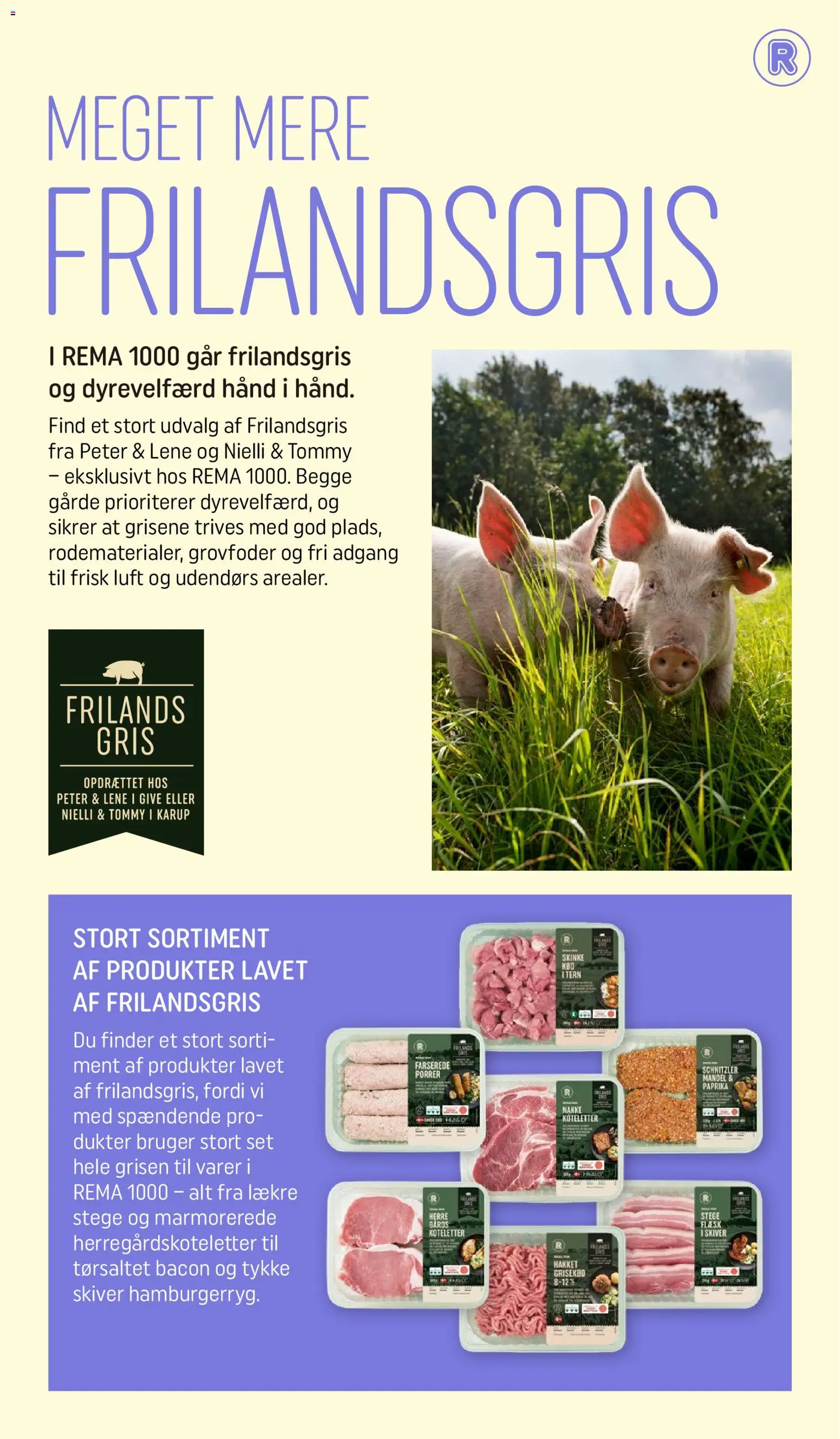 Rema 1000 tilbudsavis – gyldig fra 01/08/2026 | Side: 13 | Produkter: Skinke, Koteletter, Schnitzler, Paprika